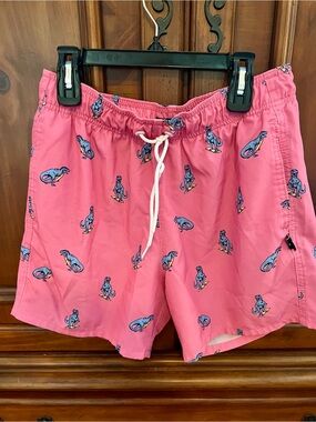 Hollister Pink Swim Shorts with Dinosaur 🦖 Print